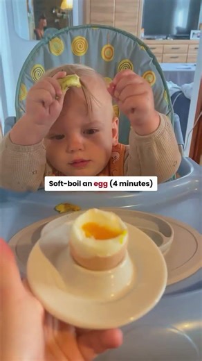 The 10 Minute Baby Breakfast That Heals the Gut and Builds the Brain