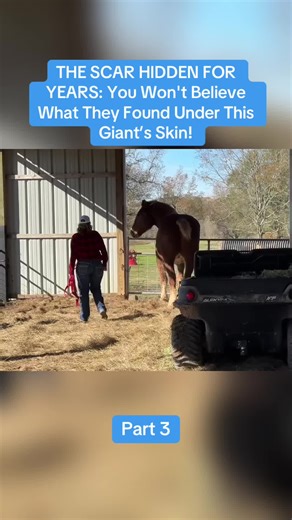 The Scar Hidden for Years Revealed