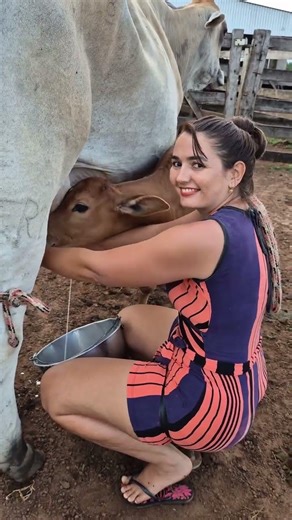 “Beautiful Girl Milking Cow 🐄 | Village Life & Organic Farming” #villagelife #farming