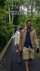 7.2K views · 24 reactions | Welcome to the world’s oldest rainforest! Come explore the Daintree Rainforest in Northern Queensland on our Ultimate Australia trip. Lush green canopies. Diverse wildlife. Unique Aboriginal art. ‘Dreamtime’ stories, and even fire ceremonies too(!) You’ll see it all in this MAKE TRAVEL MATTER® Experience. Plus, you’ll help support sustainable communities too  | Contiki | Facebook