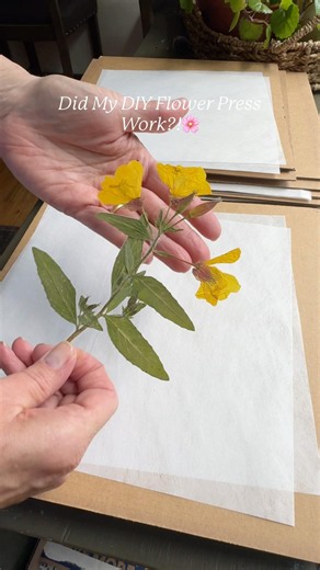 Opening My DIY Flower Press