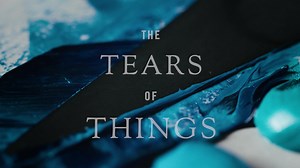 Spiritual seekers around the world have been so impacted by Richard Rohr’s New York Times Bestselling book “The Tears of Things: Prophetic Wisdom for an Age of Outrage." You can also discover the timeless wisdom of the Hebrew prophets. Receive your FREE Reader’s Guide when you order "The Tears of Things." | Center for Action and Contemplation