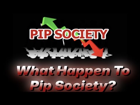 What Happened To Pip Society And Leo Williams ( CEO )