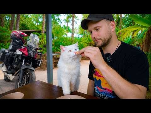 I Rode 800 km Across Thailand for the Best Thai Food