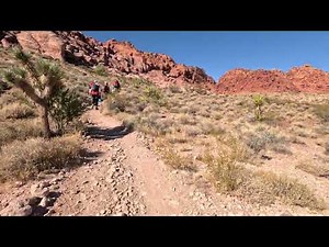 Rappelling Gear & Device Guide – How to Use Them Correctly