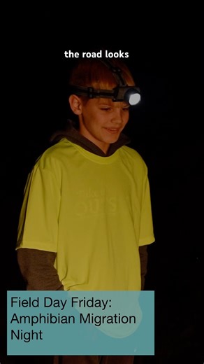 Most people never see this part of spring | Amphibian migration night