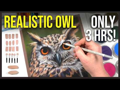 PanPastel & Pastel Pencil Tips & Techniques // How to Draw a Realistic Owl