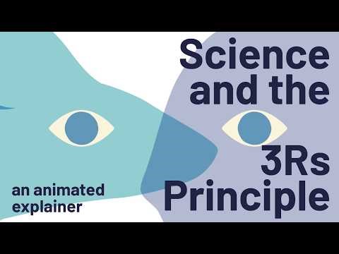 Science and the 3Rs Principle