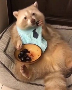 422K views · 10K reactions | Friday Night mood. (IG @uni_raccoon) | Debra Messing | Facebook