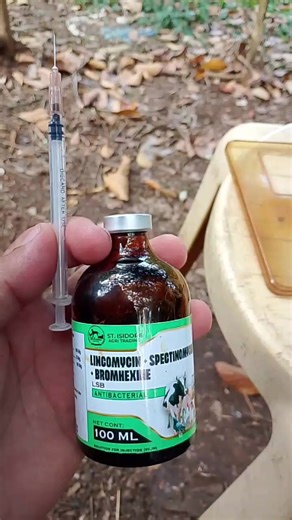 LSB Lyncomycin Spectinomycin bromhexine ANTIBACTERIAL INJECTABLE #injectable #antibacterial #mamaw #magaling #manok