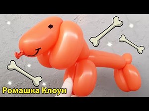 СОБАЧКА такса ИЗ ДЛИННОГО ШАРИКА ШДМ как сделать Balloon Animal Dog TUTORIAL uno perrito con globos