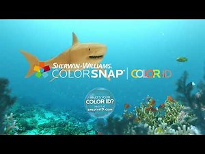 Shark Week 2021 Vignette with Discovery