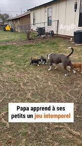 27K views · 274 reactions | Le jeu qui nous rassemble tous ! 殺 | Argo France | Facebook