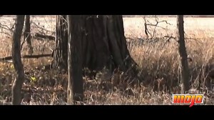 Watch MOJO Outdoors Critter Predator Decoy on Amazon Live
