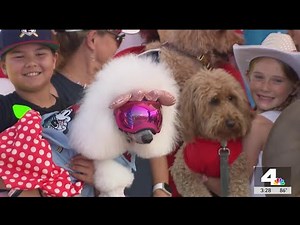 Patriotic pups celebrate Fourth of July in Anaheim
