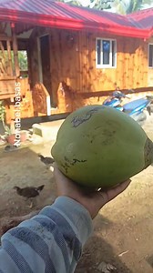 77K views · 1.8K reactions | Ito yung lutong buko cake sa kawali! | Nonabel Basas | Facebook