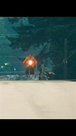 Exploring Comedy Across Hollywood and Bollywood