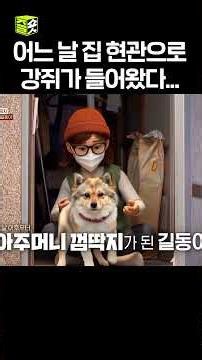길동이🐶에게 간택 당한 아주머니 #달리 #DALI #TV동물농장 #shorts