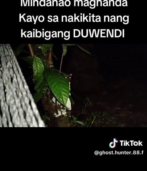 ‏#creatorsearchinsights #viral