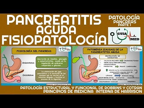 ACUTE PANCREATITIS PATHOPHYSIOLOGY | GuiaMed