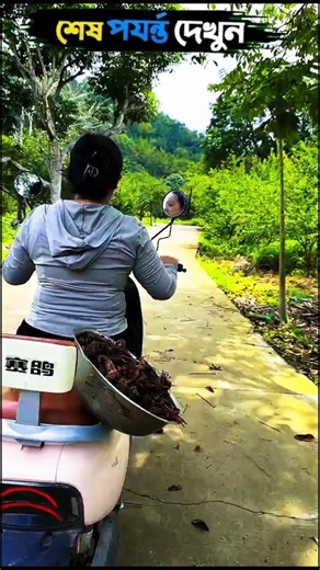 আজকে মজা করে কাকড়া রান্না করলাম 😜🤣~mini wood toy-wood working art skill wood/hand crafts/#shorts