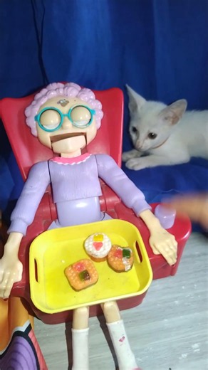 🍇 two different color eyes of white cat and Granny asmr #asmr #granny #trending #viral #shorts