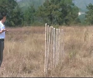 Jackie Chan (fighting skills) 🥷 | Video Time