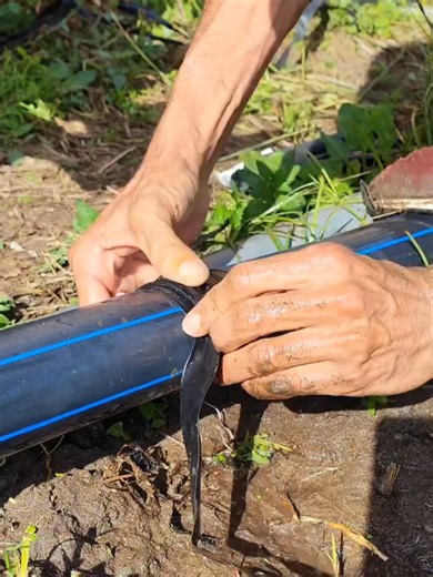 Exploring Labubu: A Fun Adventure with the Monsters