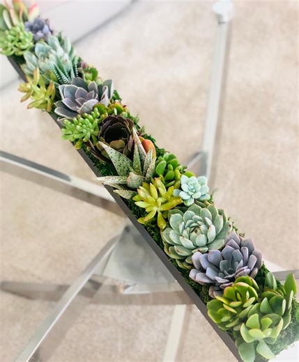 32" Live Succulent Arrangement in Stainless Steel Planter Party Centerpiece Gift (black, White, Silver) - Etsy