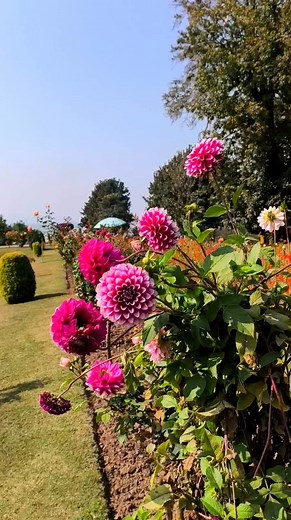 Beautiful view | Beauty explore