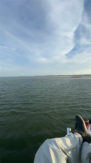 Litigator SportFishing Captain Colt North USCG OUPV 6-Pack 757-345-9698 www.litigatorsportfishingva.com litigatorsportfishing@gmail.com @LitigatorSportFishing Facebook/Instagram/TikTok • • • Sponsors/Guide Programs: Green Top Sporting Goods Horn's Hayes Ace Hardware Smith Otpics Bajio Sunglasses Murray Marine Fabrication Simms Gear Invincible Jigs Zman Fishing • • • #litigatorsportfishing #fishingva #chesapeakebay #invinciblejigs #intrepidboats @greentopsportinggoods @invincible_jigs @hornshayes