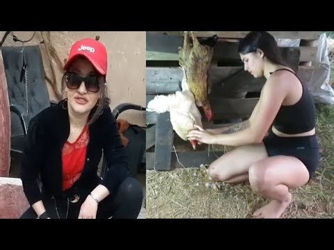 Beautiful woman slaughter chicken