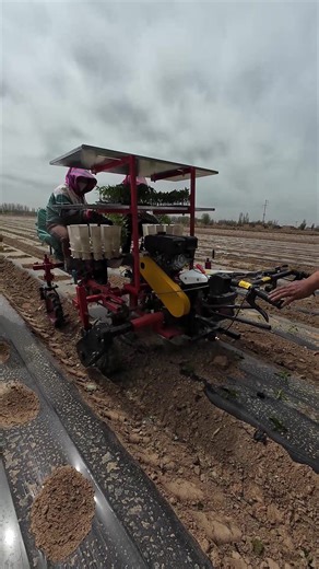 Come and take a look at this vegetable transplanter. It comes with its own power! Time-saving and efficient!#Vegetable planting machine#transplanter#Self-powered transplanter