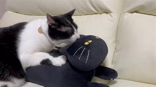 黒猫グッズが大好きな夫とデコホームへ🐾お目当てのものたくさん買えました〜🐈‍⬛✨ほんとはもっと買いたかった🤣