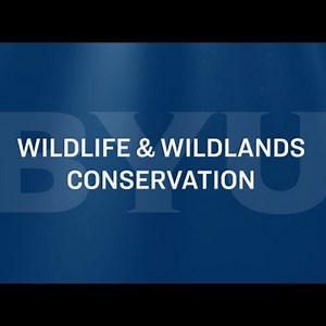 Wildlife & Wildlands Conservation Major Snippets