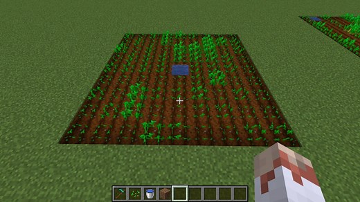 How to plant seeds in Minecraft