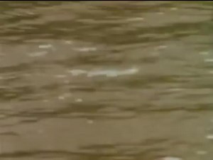 35 reactions · 14 shares | Beatles 4EVER | Globestation - The Music Channel | Facebook