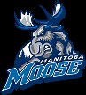 Manitoba Moose Vs Texas Stars Predictions, Dec 31, 2024 | Welcome.Bet