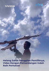 Video ini mencuri perhatian ramai apabila seekor helang dilihat menyahut panggilan pemiliknya sebelum terbang dan mendarat dengan tenang di lengan lelaki tersebut. Bukan sahaja interaksi mereka nampak begitu rapat dan terlatih, malah suasana sekeliling dengan pemandangan yang cantik dan buat netizen kagum dengan video itu. #fyp #xtra #helang #pemilik #sahut Sumber: tehanisrahayu P/s: Video ini bukan milik XTRA dan kredit telah diberikan kepada pemilik asal. Jika anda ingin kami menurunkan video 