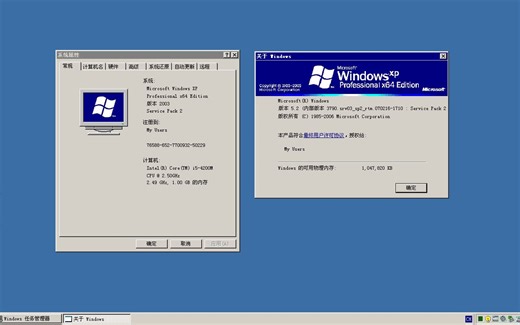 当Windows XP设置为256色会怎样？