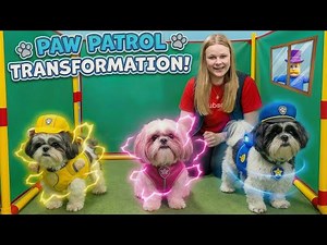 Assistant Finds her Dogs after Humdinger Turns Them into Paw Patrol!