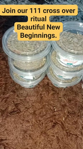 2026 is not just any year. It's a year of new beginnings. It's the year for acceleration,speed,growth,fame,success Tap into the portal. Let me be your guide into this new beginning. I was born for this. | Omalicha Isioma Heals