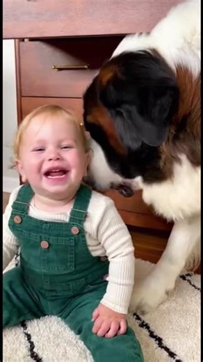 Compact and portable — print notes, labels, and stickers straight from your phone, no...