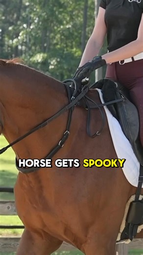 We reinvented the classic neck strap to give you better control — without pulling on the reins. The Double Neck Strap features a rolled leather handle that sits above the neck strap, right where you need it. ✅ Helps you stay secure during spooks ✅ Keeps your hands steady over fences ✅ Lets your horse stretch without losing balance "I am just getting back into riding English and was a bit insecure/hesitant. This gave me that bit of extra security needed without hanging on my horse’s mouth. Easy t