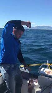 Ultimate Charters New Zealand on Reels