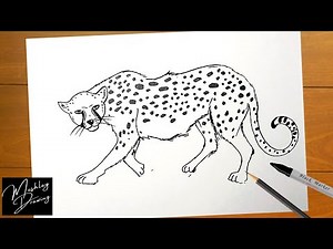 How to Draw Cheetah Easy Step by Step