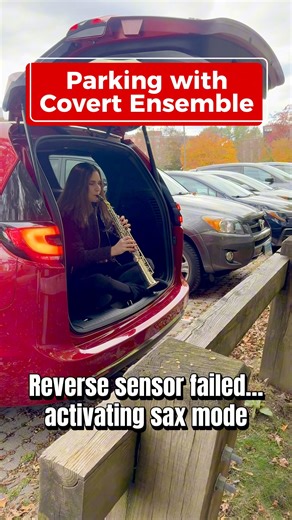 7K views · 62 reactions | No sensors. No problem. Just pure sax-based navigation.  | Covert Ensemble | Facebook