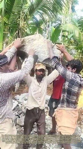 Lifting a Heavy Boulder: How Teamwork Transfers a Stone for Head-Carried Transport