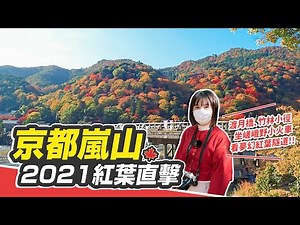 The last year of Arashiyama Lantern Road! Take the Sagano Arashiyama train to enjoy the red leaves 🍁