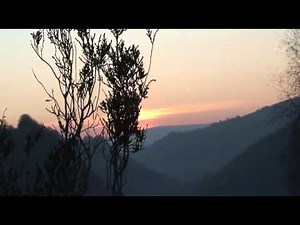 MEDITATION WITH JADE